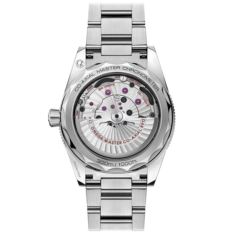 Omega Seamaster 300 Co-Axial Master Chronometer 41MM