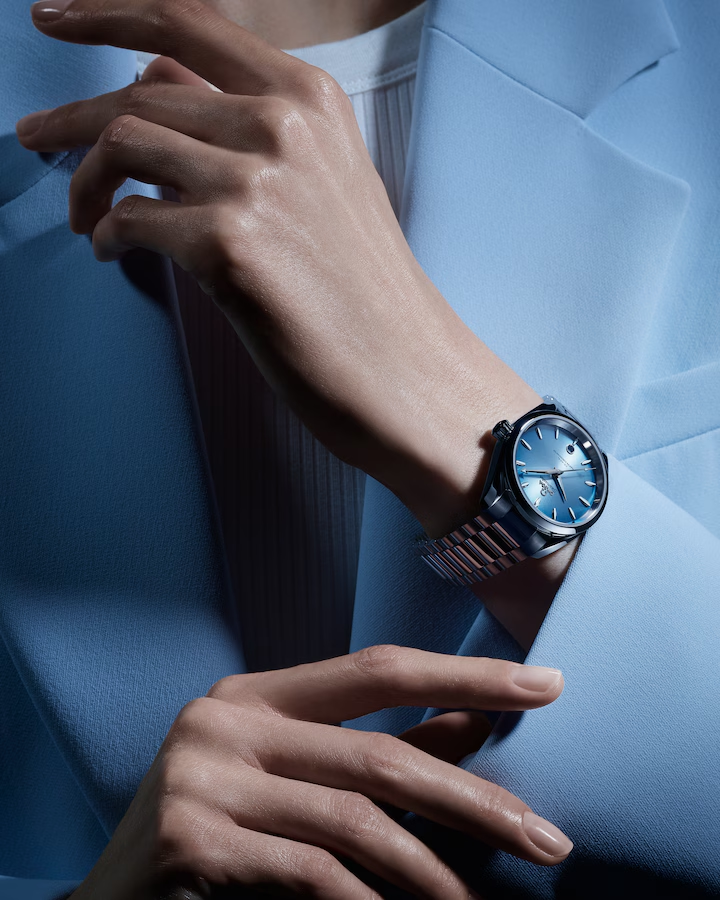 Seamaster Aqua Terra 150M 38 mm, steel on steel