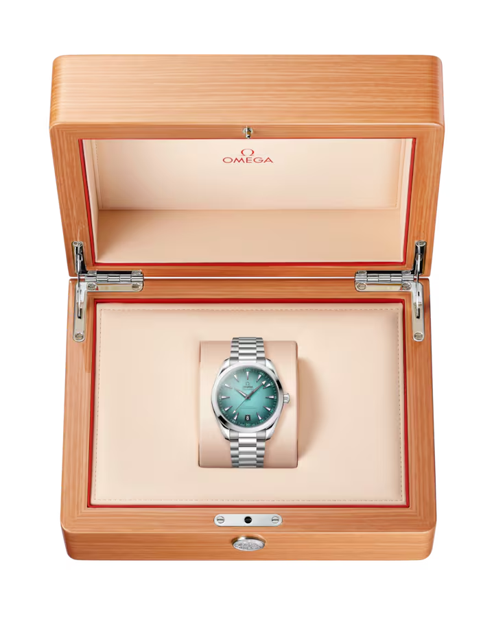 Seamaster Aqua Terra 150M 41 mm, steel on steel