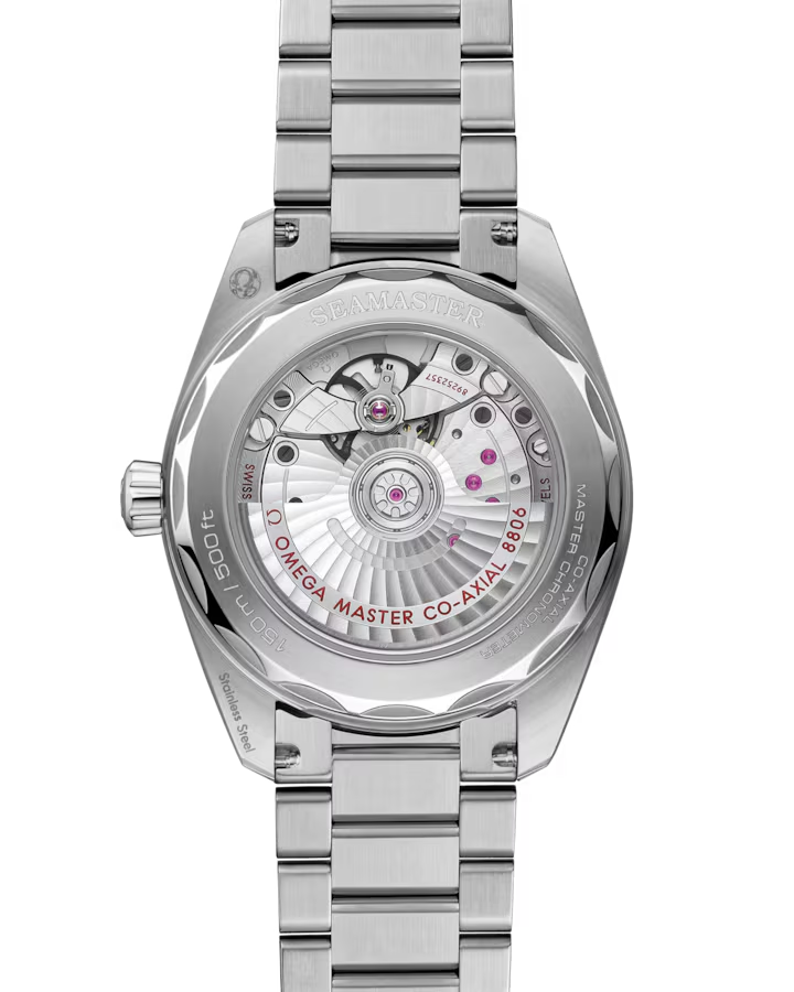 Seamaster Railmaster 38 mm, steel on steel