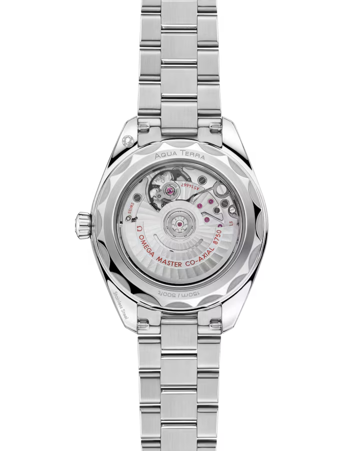 Seamaster Aqua Terra 150M 30 mm, steel on steel